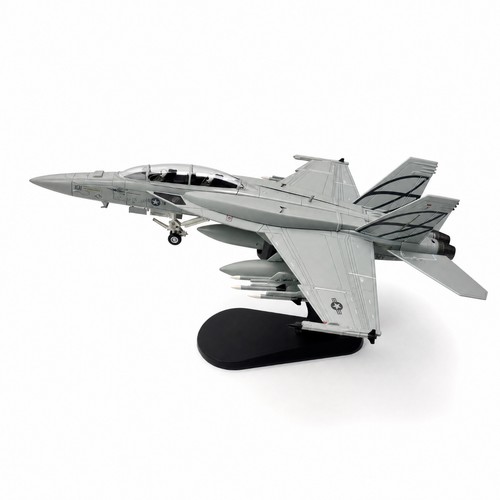 Super-Hornet-Kampfflugzeug